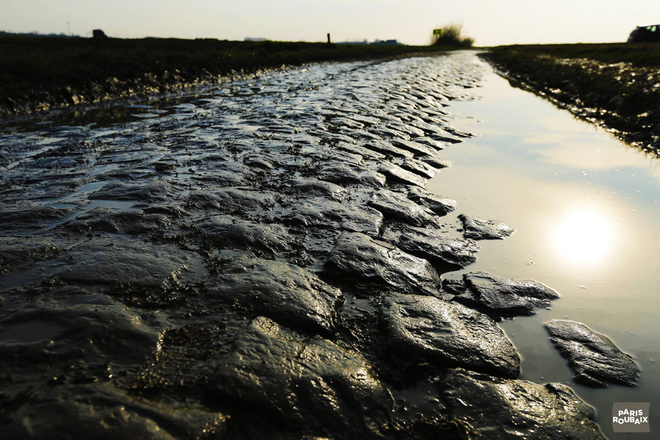 ROubaix-Cobble.jpg